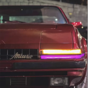 Miura SAGA 1988 - Sendo Restaurado